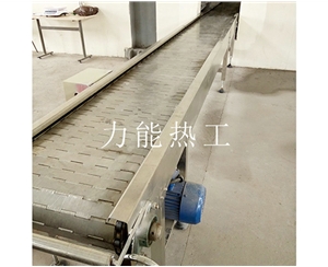 北京链板输送机